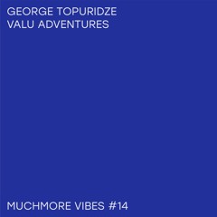 George Topuridze - Valu Adventures