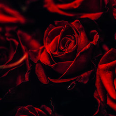 Ivan cornejo(Ft.Dannylux) Amor eterno