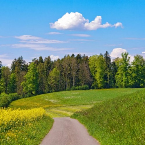 Animated Feature background sound 🙃FREE DOWNLOAD