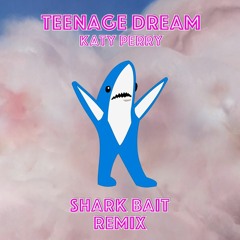 Katy Perry - Teenage Dream (SHARK BAIT Remix)
