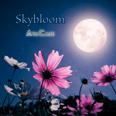 Skybloom (Radio Edit)