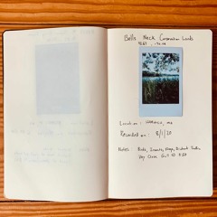 Field Recording Notebook