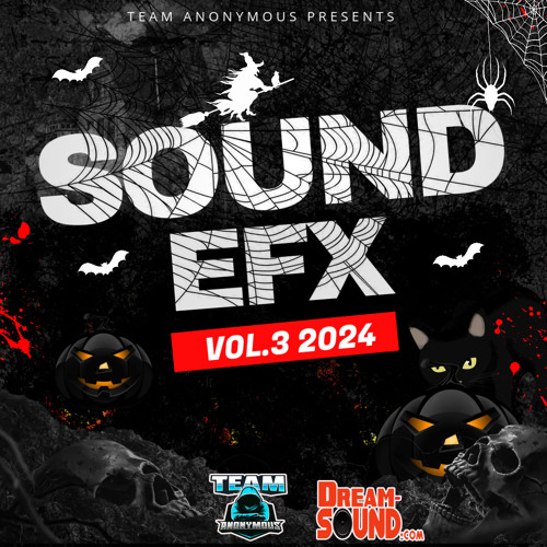 Sound Effects 2024 - Team Anonymous - Sound EFX 3