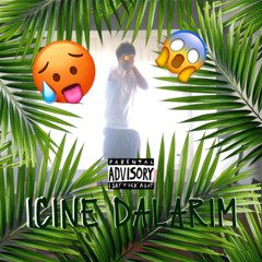 icine dalarim demo