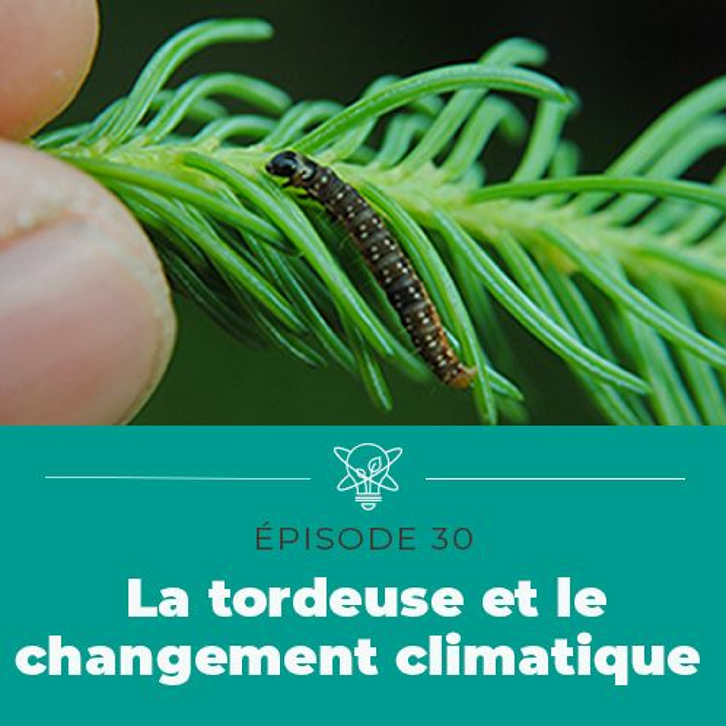La science simplifiée