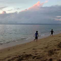 i want to see the ocean