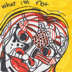 What I'm Not