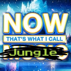 Best D&B/Jungle of the Year mixes