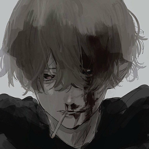 HND2 * hoa hồng nhung trong bụi hoa hồng cam