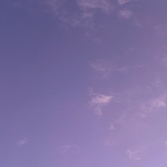 boreale