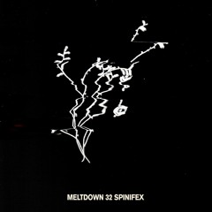 meltdown 32 - spinifex