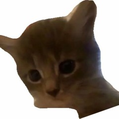 Lil Timmy first disstrack