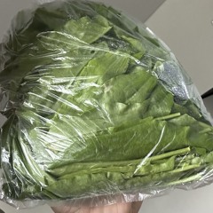 Скамнахуй