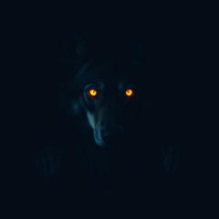 Lonely Wolf (Dark Hybrid Trap)