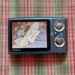 alex g runner (sped up +0.8x)