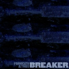 The Magnetic Dog Sisters & Fornicata - Breaker