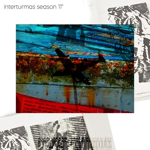 um sonho de rosas não pode florescer no final de agosto quando a geada se forma