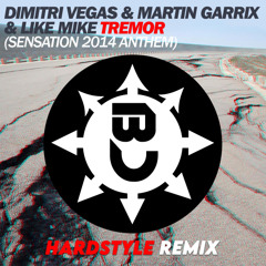 Tremor (BassWar & CaoX Hardstyle 2k25 Remix)