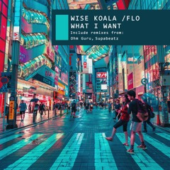 TH395 Wise Koala Feat Flo_ What I Want (Ohm Guru Remix)