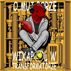 OMUJ BORZE ALE RACZYSKO W TRANSFORMATORZE - WIXAPOL WROCŁAW DJ SET