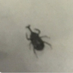 On The Cloud(Prod.SNOW)