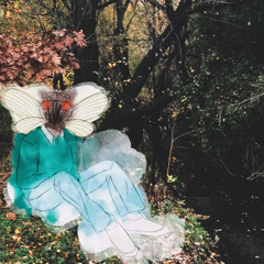 cicada song