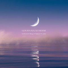 Ocean Calm — 11 Minutes of Relaxing Ambient for Anxiety & Sleep