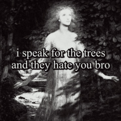 dumb and lame (demo) (draft)