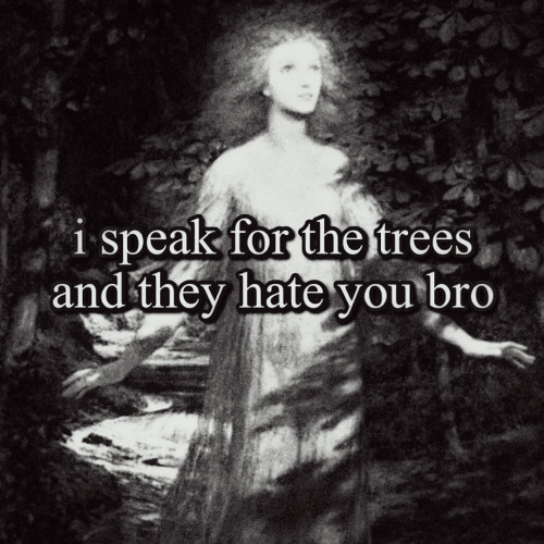 dumb and lame (demo) (draft)