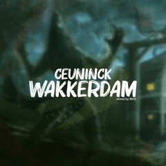Wakkerdam