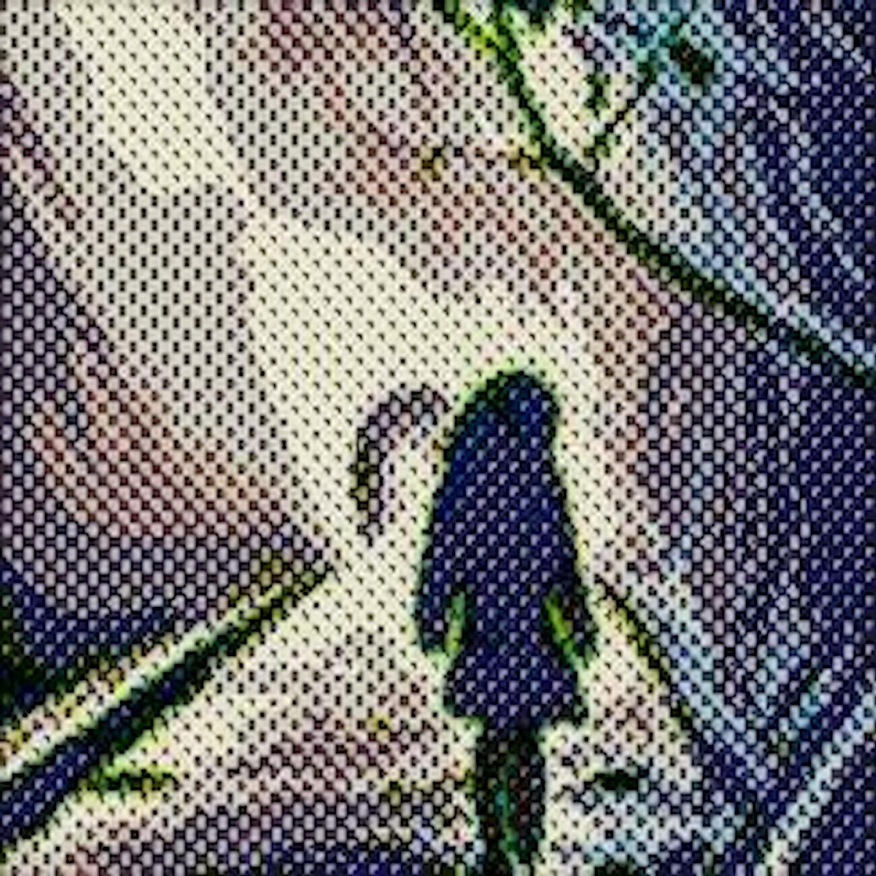 Leading Lady - Loop's Qool episode artwork