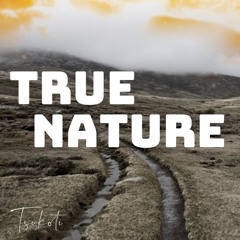 True Nature