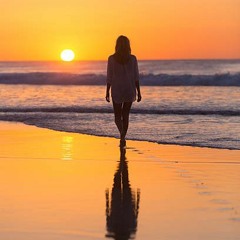 Last Light