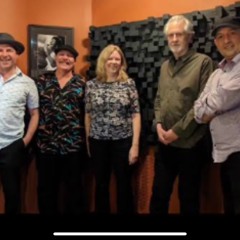 Excerpt of Tacot Blues by Richard Galliano/Zarbi Blues by Serge Luc Quartet