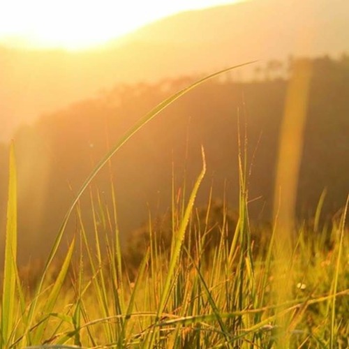 Việt Mix - Nhạc Trẻ 8x 9x Remix Đời Đầu Hay Nhất Part 3 – Vol 75 DJ Ninh Mix