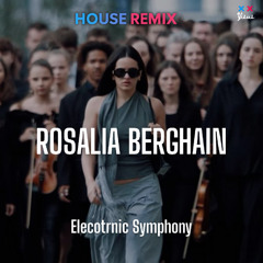 Berghain - Rosalia (Elecotrnic Symphony) EDM remix