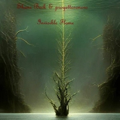 Shane Beck & progettosonoro - Invisible Flame