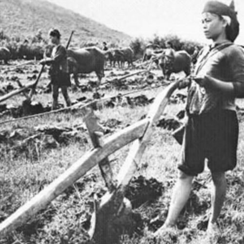 đưa cơm cho mẹ đi cày - ngọc thoa (thu thanh 1971)
