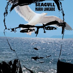 SEAGULL