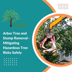 Arbor Tree And Stump Removal - Mitigating Hazardous Tree Risks Safely