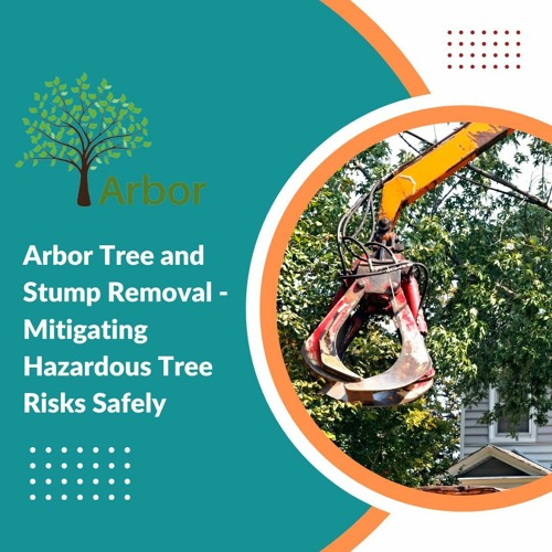 Arbor Tree And Stump Removal - Mitigating Hazardous Tree Risks Safely