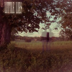Little Lies (ft. noam)