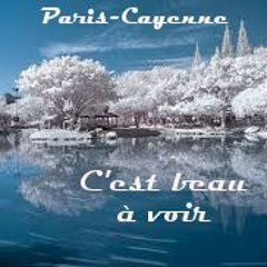C'est beau à voir (Paranos + L. Sampson)