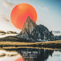 Wide Awake (Extended Mix) [feat. Swedish Red Elephant]