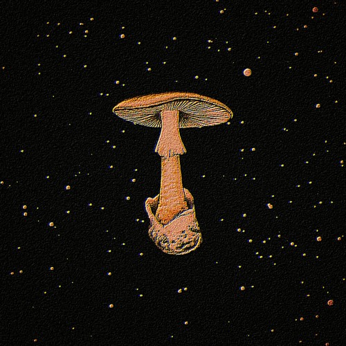 funginautic e.p.