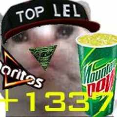 1000-1337