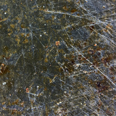 20250816 PLASMODIUM VIVAX