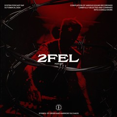 2FEL X SYSTEM PODCAST 69