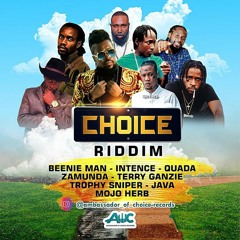 Intence - Strength (Raw) [Choice Riddim]