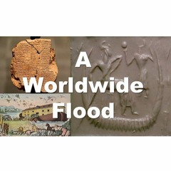 God Rescues Noah